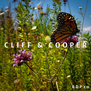 Cover image for release #20