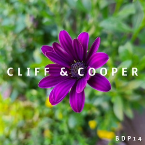 Cover image for release #14