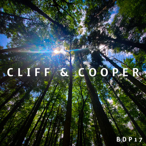 Cover image for release #17