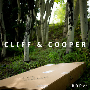 Cover image for release #21