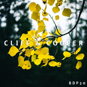 Cover image for release #30